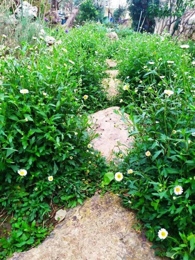 Olive Lemon Biophilic House & Lush Forest Garden Vámos Exterior foto