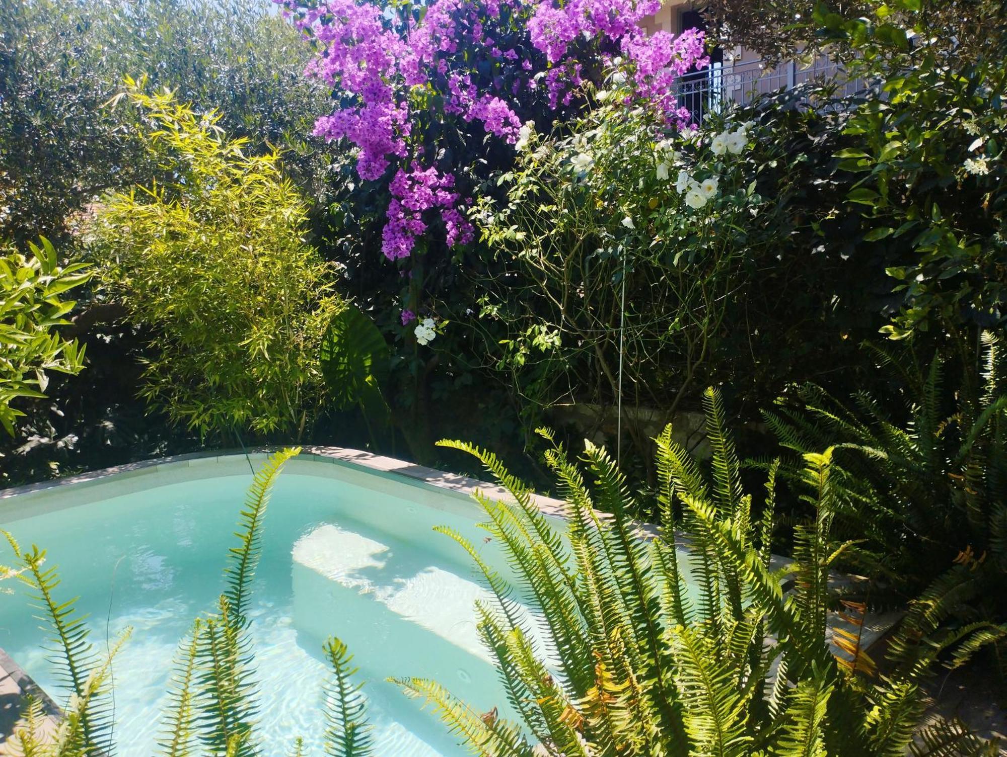 Olive Lemon Biophilic House & Lush Forest Garden Vámos Exterior foto