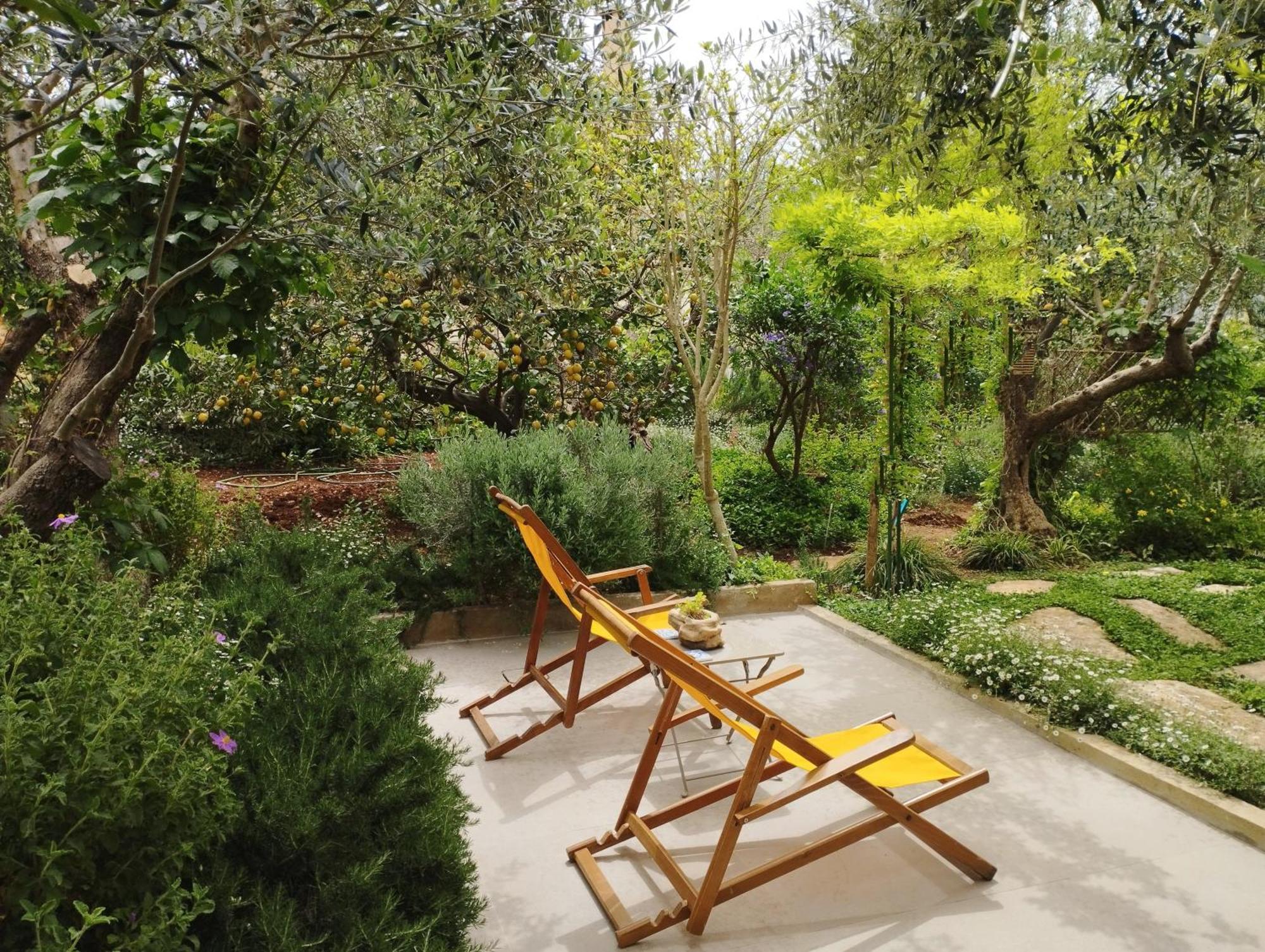 Olive Lemon Biophilic House & Lush Forest Garden Vámos Quarto foto